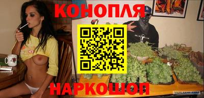 jwh Нальчик