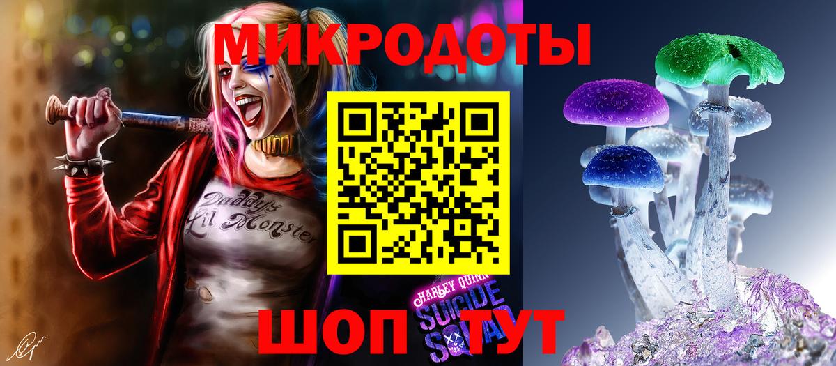 Псилоцибиновые грибы мицелий  купить закладку  Черногорск  Вход с VPN  Галлюциногенные грибы Cubensis 